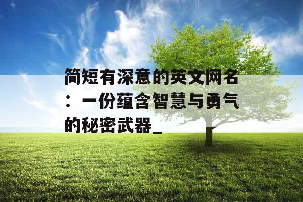 简短有深意的英文网名：一份蕴含智慧与勇气的秘密武器_