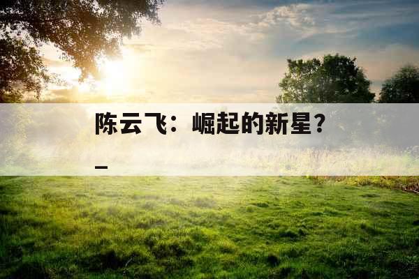 陈云飞：崛起的新星？_