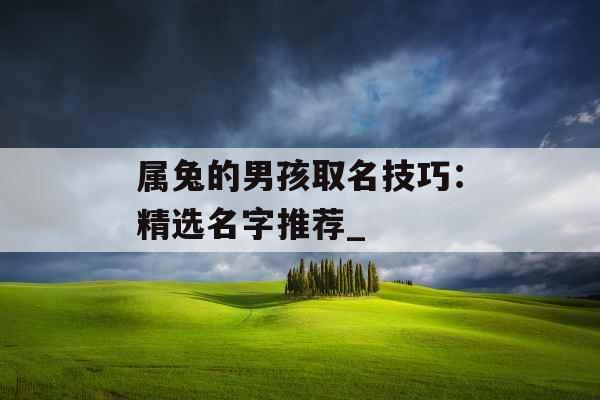 属兔的男孩取名技巧：精选名字推荐_