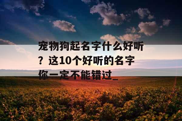 宠物狗起名字什么好听？这10个好听的名字你一定不能错过_