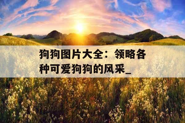 狗狗图片大全：领略各种可爱狗狗的风采_