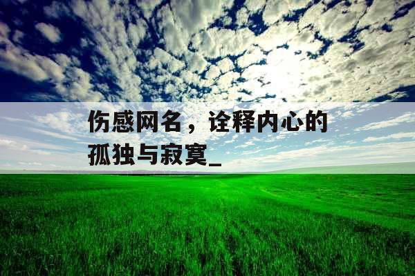 伤感网名，诠释内心的孤独与寂寞_