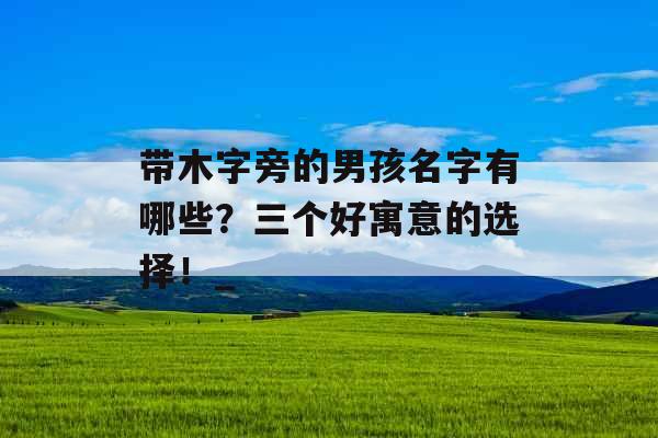 带木字旁的男孩名字有哪些？三个好寓意的选择！_