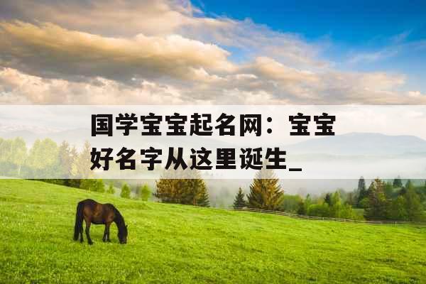 国学宝宝起名网：宝宝好名字从这里诞生_
