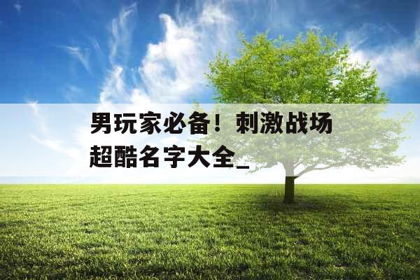 男玩家必备！刺激战场超酷名字大全_