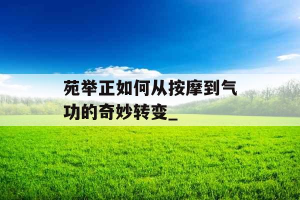 苑举正如何从按摩到气功的奇妙转变_