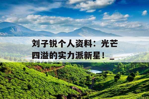刘子锐个人资料：光芒四溢的实力派新星！_