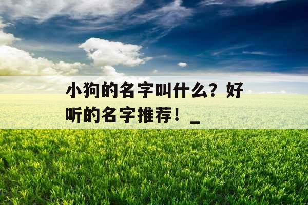 小狗的名字叫什么？好听的名字推荐！_