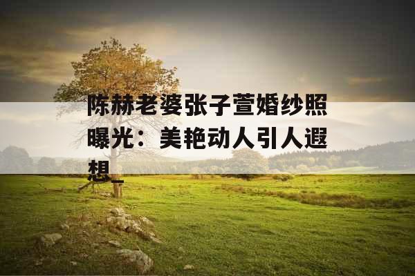 陈赫老婆张子萱婚纱照曝光：美艳动人引人遐想_