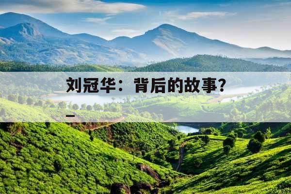 刘冠华：背后的故事？_