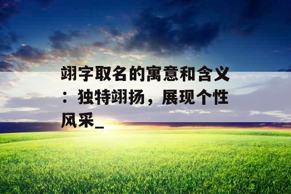 翊字取名的寓意和含义：独特翊扬，展现个性风采_