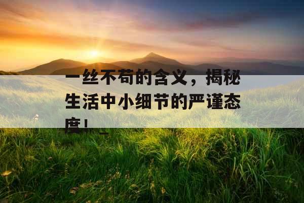 一丝不苟的含义，揭秘生活中小细节的严谨态度！_