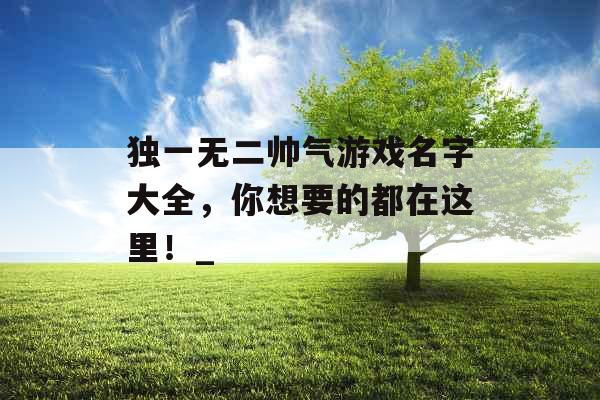 独一无二帅气游戏名字大全，你想要的都在这里！_