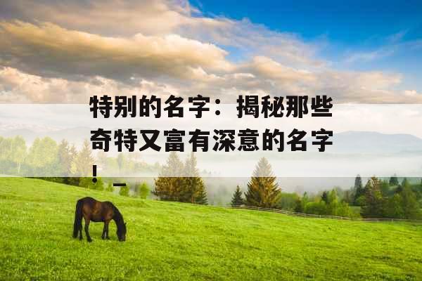 特别的名字：揭秘那些奇特又富有深意的名字！_
