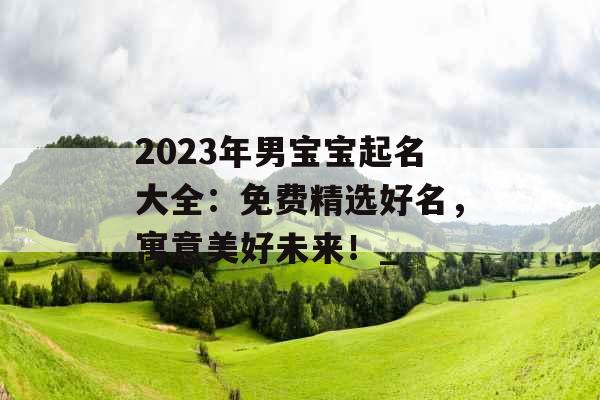 2023年男宝宝起名大全：免费精选好名，寓意美好未来！_