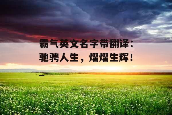 霸气英文名字带翻译：驰骋人生，熠熠生辉！_