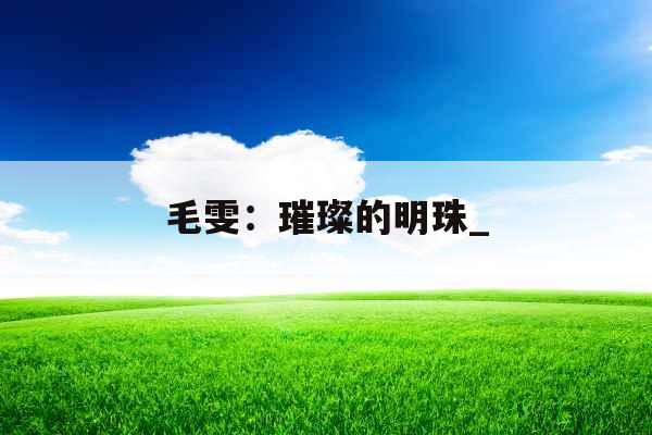 毛雯：璀璨的明珠_