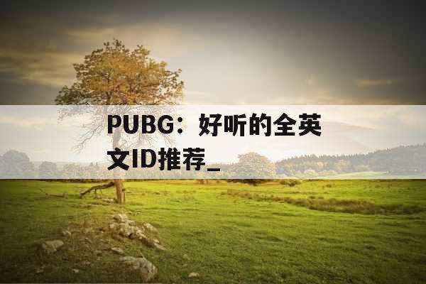 PUBG：好听的全英文ID推荐_