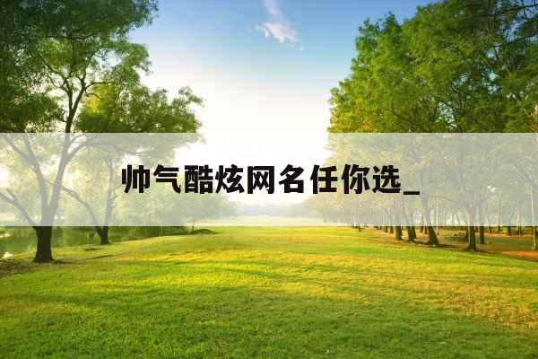 帅气酷炫网名任你选_