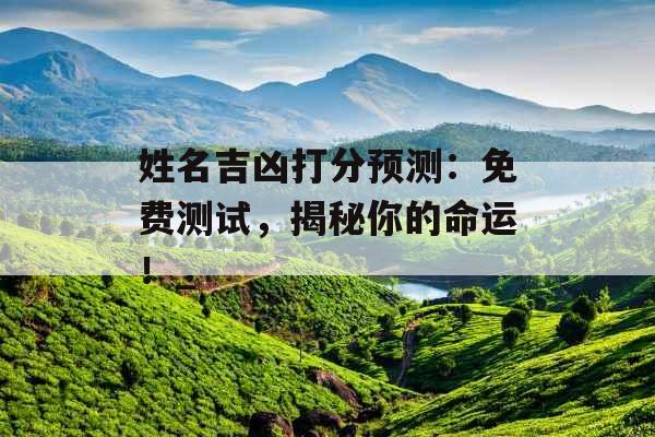 姓名吉凶打分预测：免费测试，揭秘你的命运！_