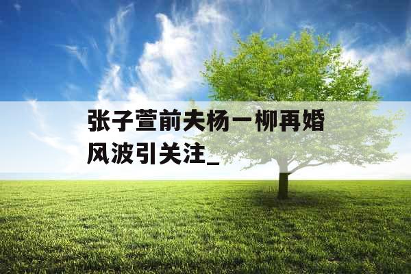 张子萱前夫杨一柳再婚风波引关注_