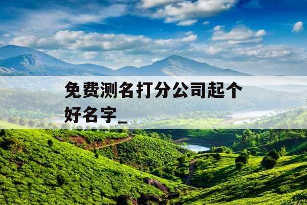 免费测名打分公司起个好名字_