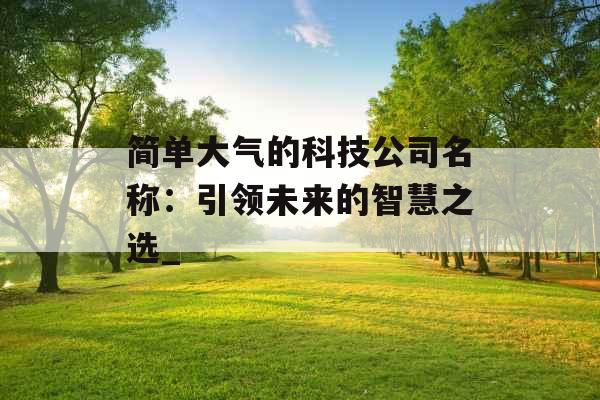 简单大气的科技公司名称：引领未来的智慧之选_