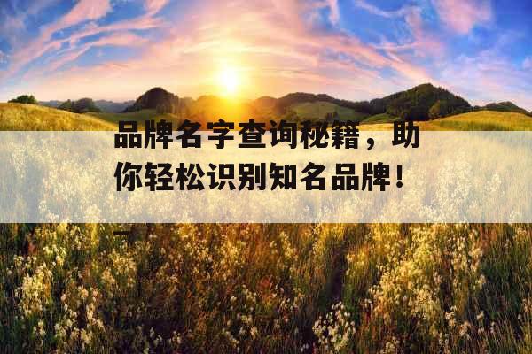 品牌名字查询秘籍，助你轻松识别知名品牌！_
