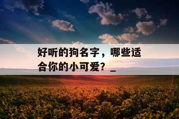 好听的狗名字，哪些适合你的小可爱？_