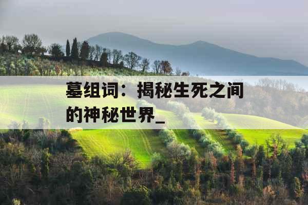 墓组词：揭秘生死之间的神秘世界_