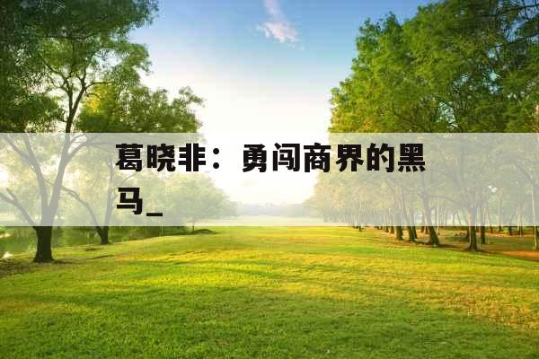 葛晓非：勇闯商界的黑马_