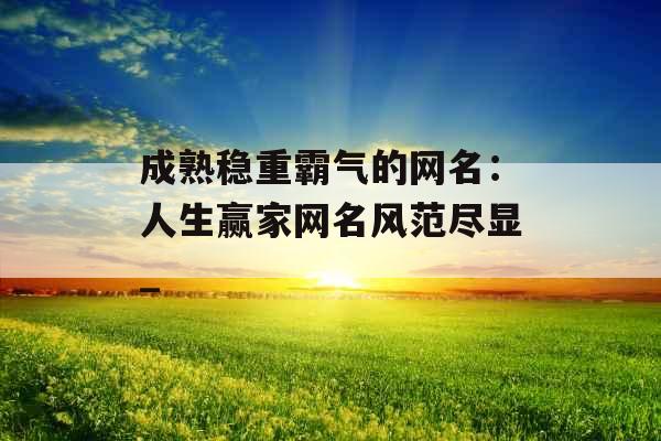 成熟稳重霸气的网名：人生赢家网名风范尽显_