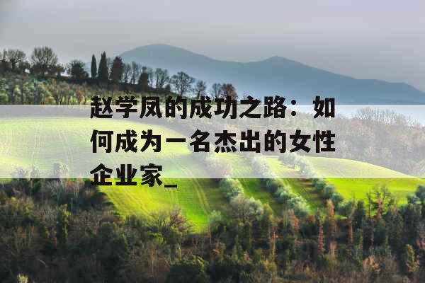 赵学凤的成功之路：如何成为一名杰出的女性企业家_