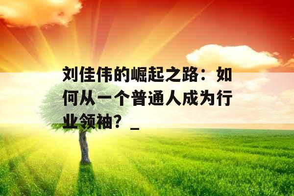 刘佳伟的崛起之路：如何从一个普通人成为行业领袖？_