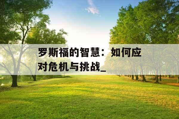 罗斯福的智慧：如何应对危机与挑战_