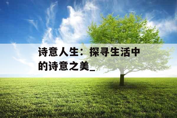 诗意人生：探寻生活中的诗意之美_