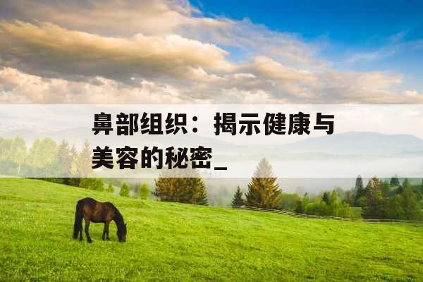鼻部组织：揭示健康与美容的秘密_