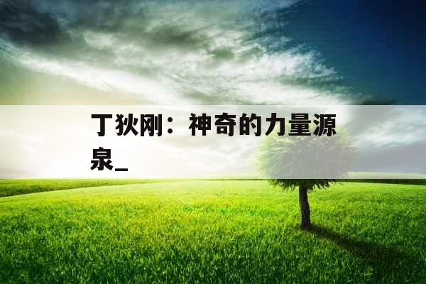 丁狄刚：神奇的力量源泉_