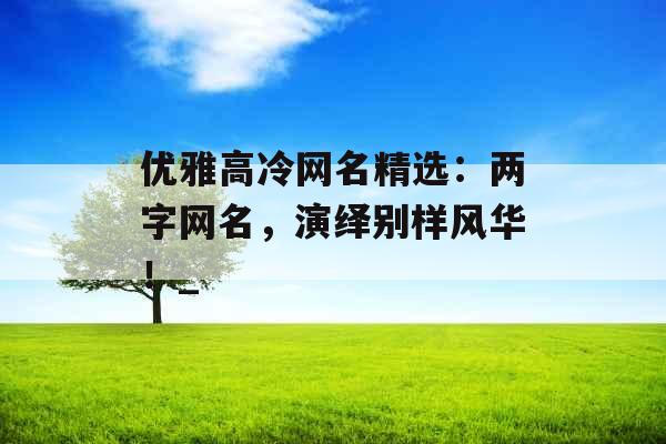 优雅高冷网名精选：两字网名，演绎别样风华！_