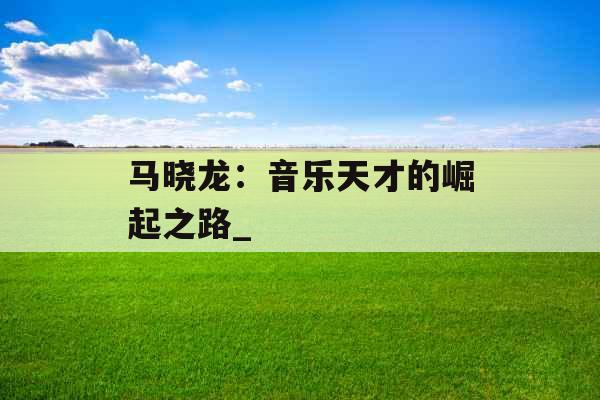马晓龙：音乐天才的崛起之路_