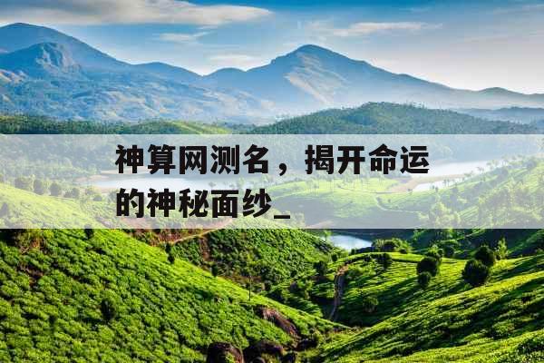 神算网测名，揭开命运的神秘面纱_