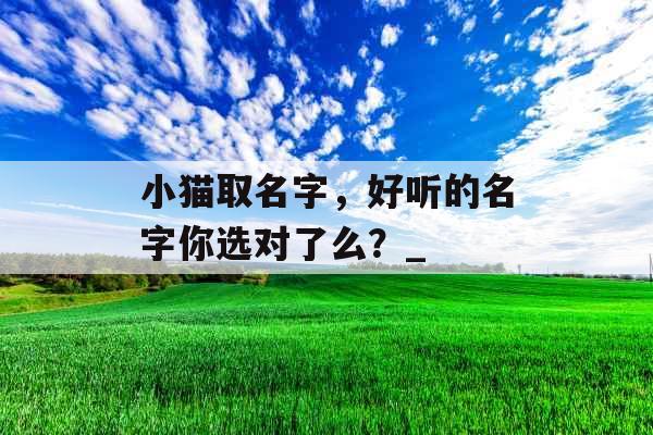 小猫取名字，好听的名字你选对了么？_