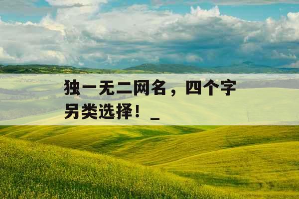 独一无二网名，四个字另类选择！_