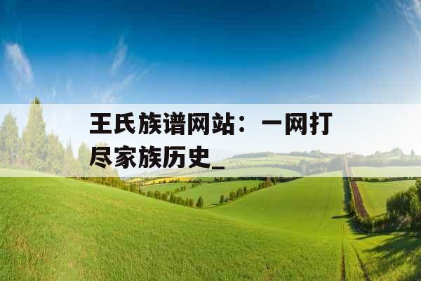 王氏族谱网站：一网打尽家族历史_