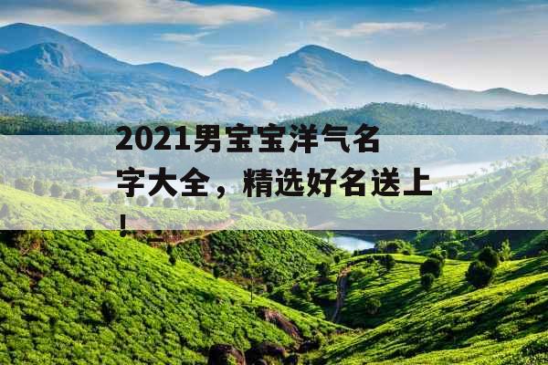 2021男宝宝洋气名字大全，精选好名送上！_
