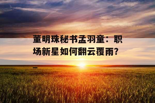 董明珠秘书孟羽童：职场新星如何翻云覆雨？_