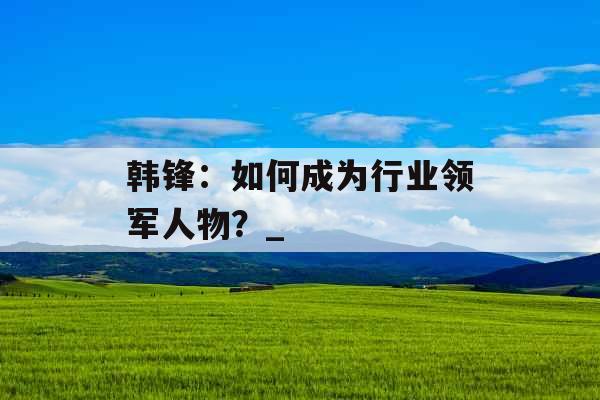 韩锋：如何成为行业领军人物？_