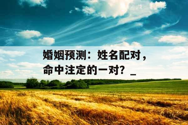 婚姻预测：姓名配对，命中注定的一对？_