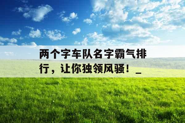两个字车队名字霸气排行，让你独领风骚！_