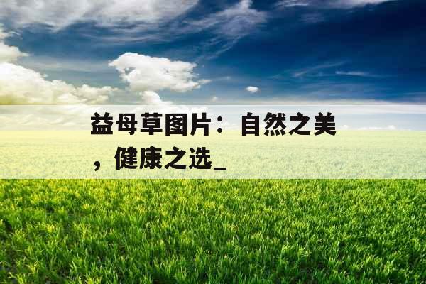 益母草图片：自然之美，健康之选_